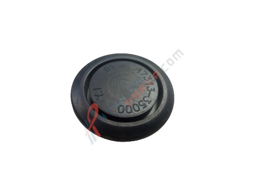 TAPA 17313-35000-HMC
